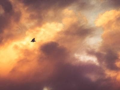 Bath - Roman Baths and abbey