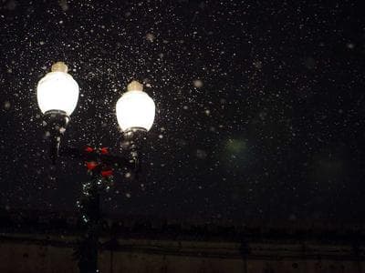 Utrecht - Dom Tower and cathedral