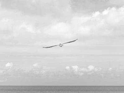 Naples - Historic center