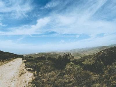 Raleigh - Museums and capitol