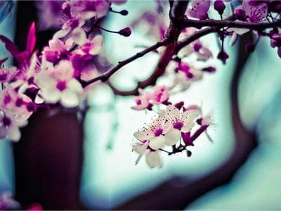 Liverpool - Waterfront and Albert Dock