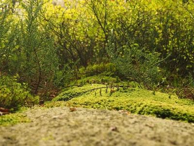 Brisbane - South Bank and river