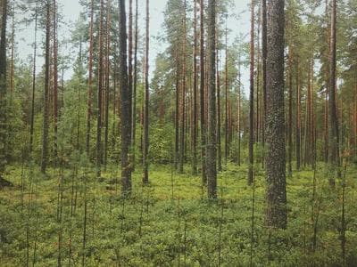 Reykjavik - Downtown core