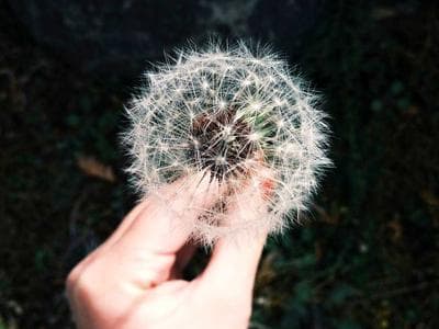 Siem Reap - Angkor Wat and major temples