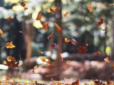Zurich - Old town and lake