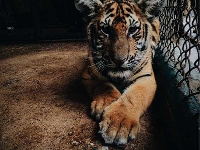 Geneva - Lake and old town