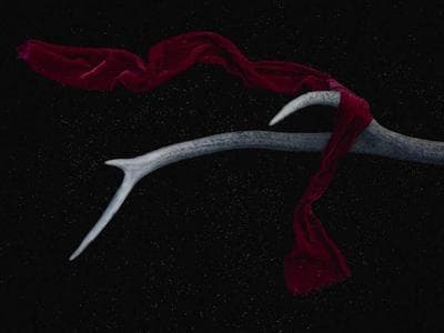 Belgrade - Belgrade Fortress and Kalemegdan