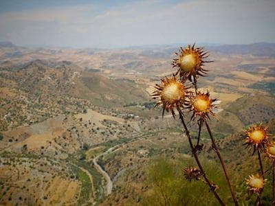 Chisinau - Stefan cel Mare Park and center