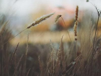 Jerusalem - Old City core