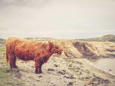 Funchal - Old town and harbor