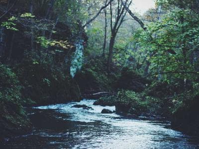 Rennes - Parlamento y núcleo de madera