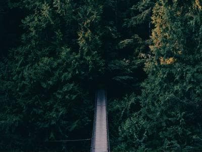 Oxford - Colleges and libraries