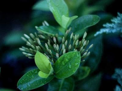 Anchorage - Coastal trail and downtown
