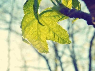 Copenhagen - Nyhavn and the historic core
