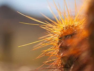 Rethymno - Fortezza and old town