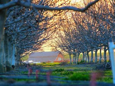 Bari - Bari Vecchia and basilica