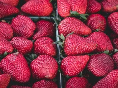 Toulouse - Capitole and Place du Capitole