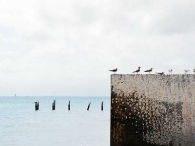 Savannah - Historic squares and Forsyth