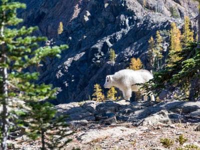 The Hague - Center and museums