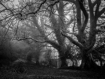 Katowice - Rynek y zona Spodek