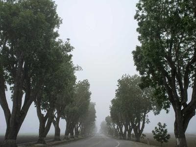 Vilnius - Old town and Gediminas