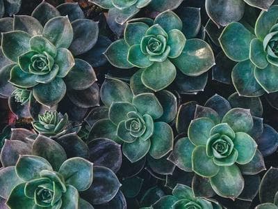 Columbus - Short North and galleries