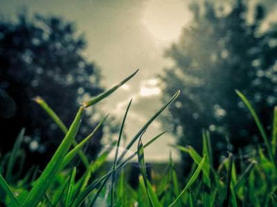 Cusco - Plaza de Armas and historic center