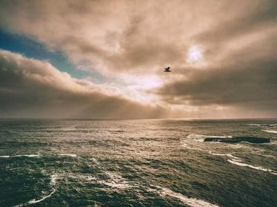 Limerick - Castle and river