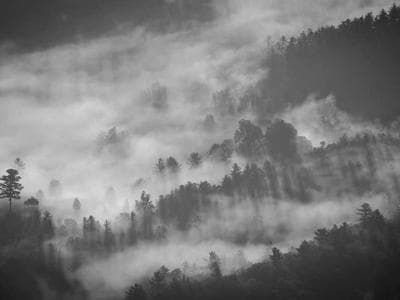 Jaipur - City Palace and bazaars