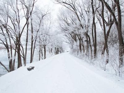 Medellin - Plaza Botero and city center