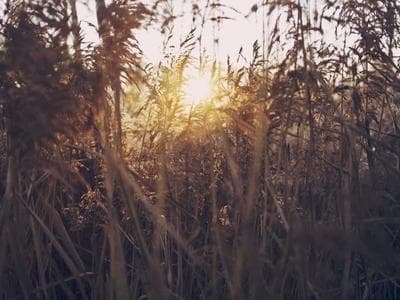 Lahore - Lahore Fort and Badshahi Mosque