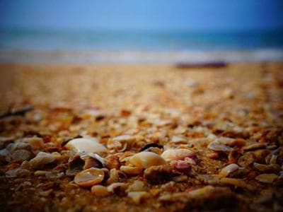 Singapore - Marina Bay and Gardens