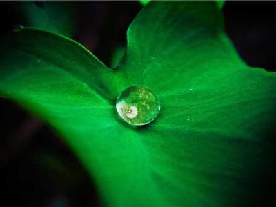 Jakarta - Kota Tua and old town
