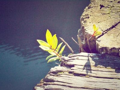 Quebec City - Old Quebec and ramparts