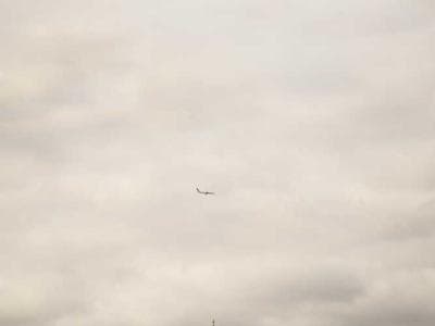 Hiroshima - Peace Park and city center